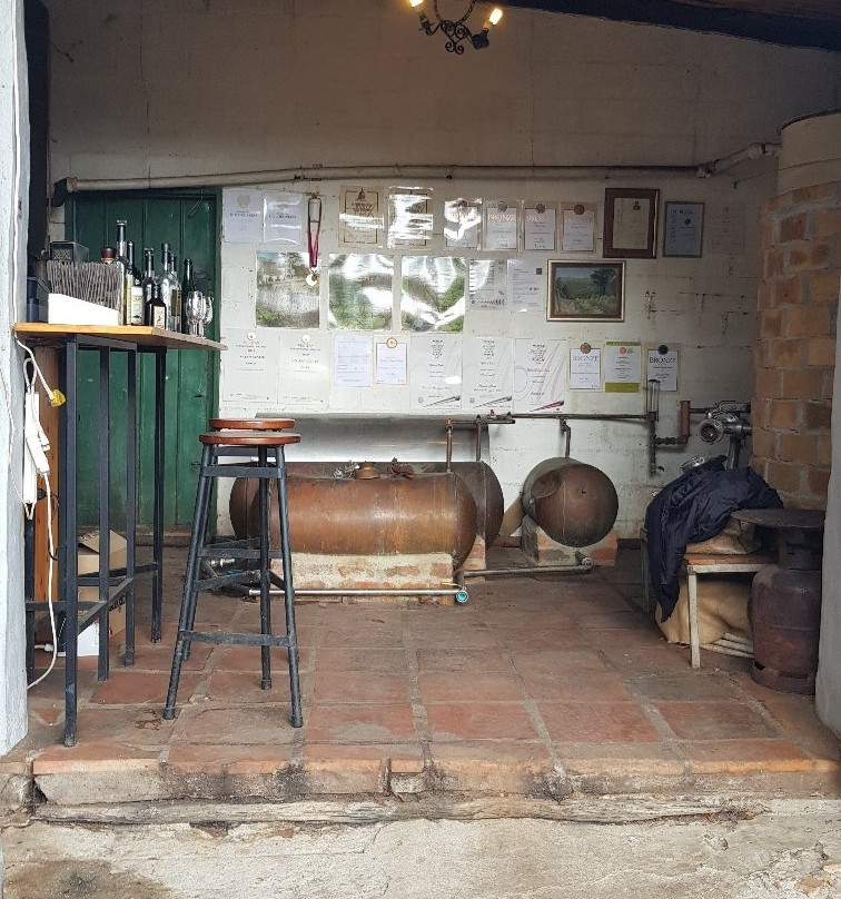 Upland Organic Wine-惠灵顿必去景点