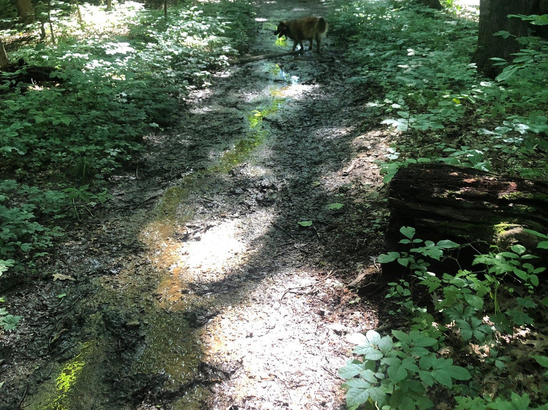 Flint Ridge Memorial State Park-Glenford必去景点