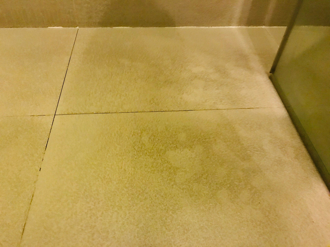 布莱顿酒店和住宿主图