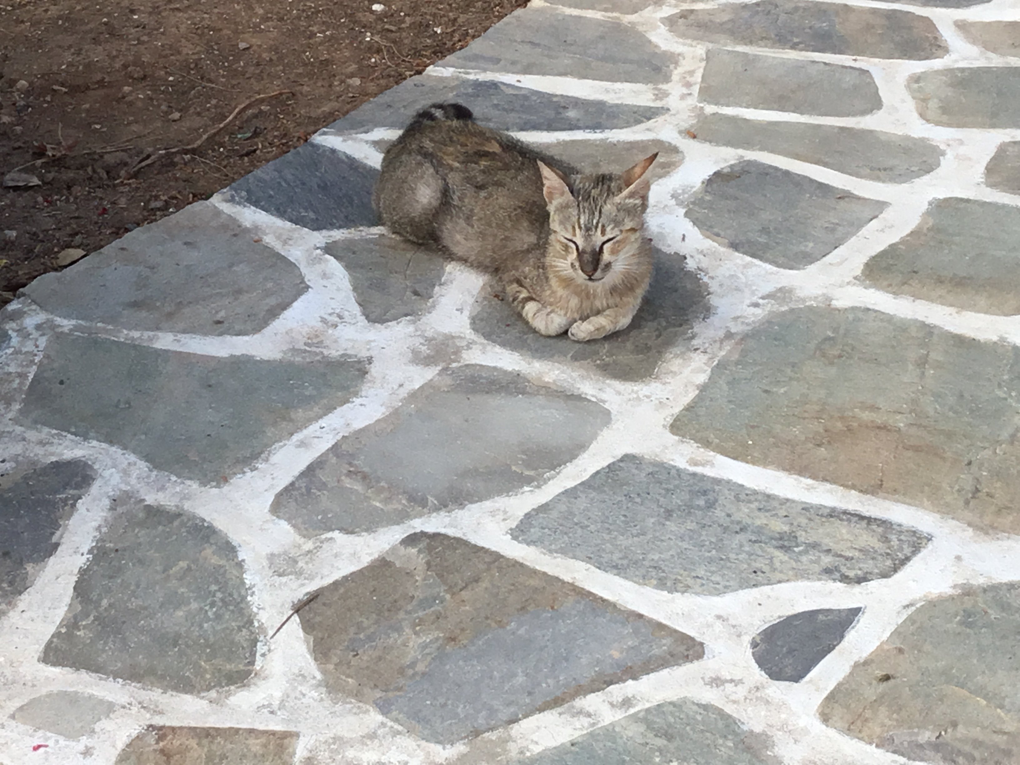 Gryspo's Hotel-浴室