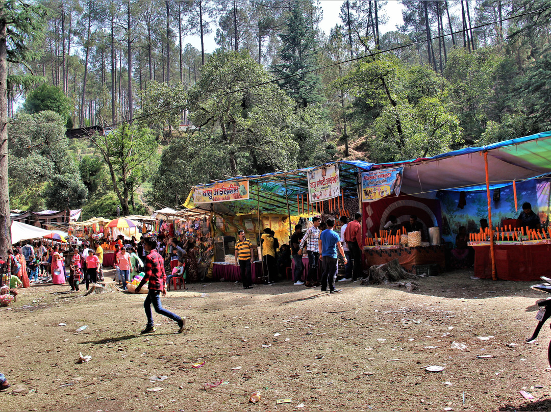 Swargashram Binsar Mahadev Mandir景点图片