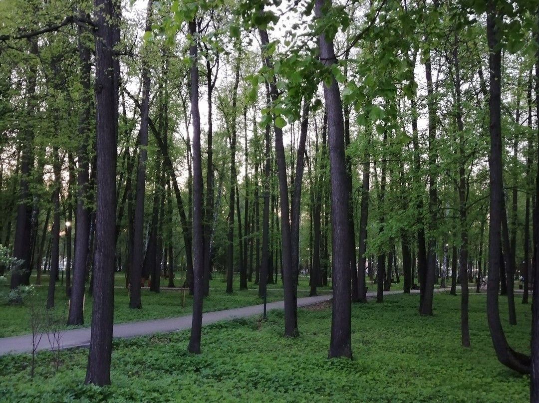 City Lake-Zelenodolsk必去景点