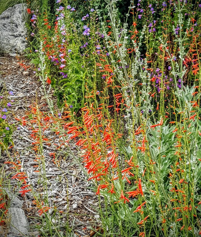 Oak Glen Preserve-Oak Glen必去景点