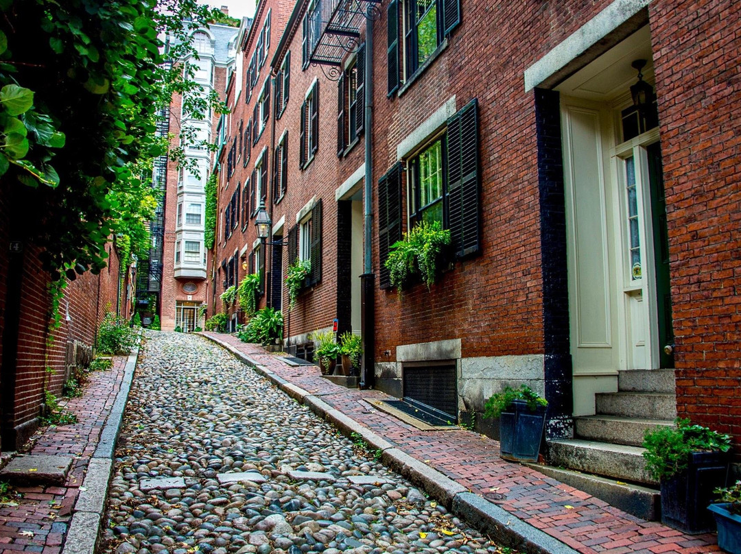 Boston City Tours - small group tours景点图片