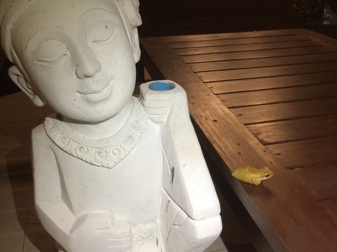 拉查岛瑞阿布瑞度假酒店主图