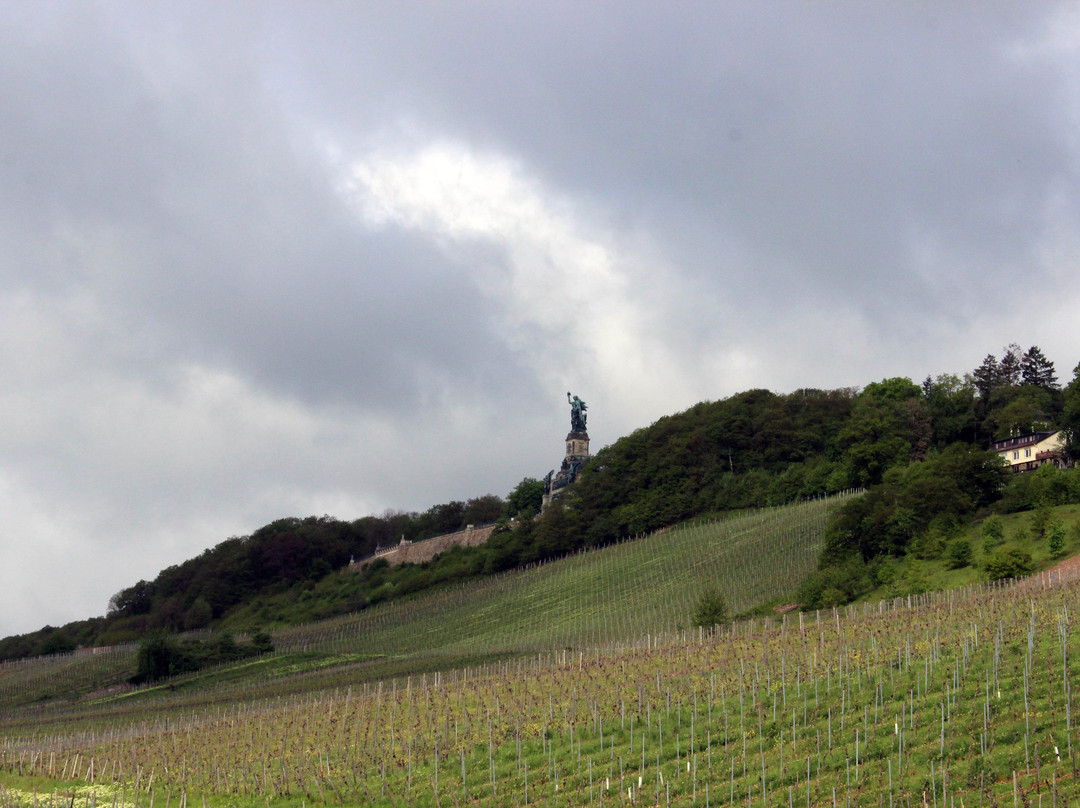 Tourist Information Rudesheim-吕德斯海姆必去景点