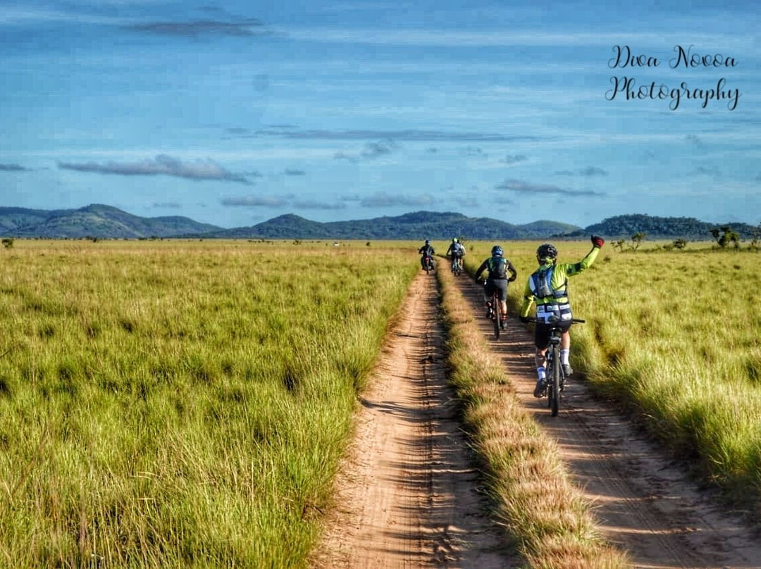 El Tuparro National Park-Puerto Carreno必去景点