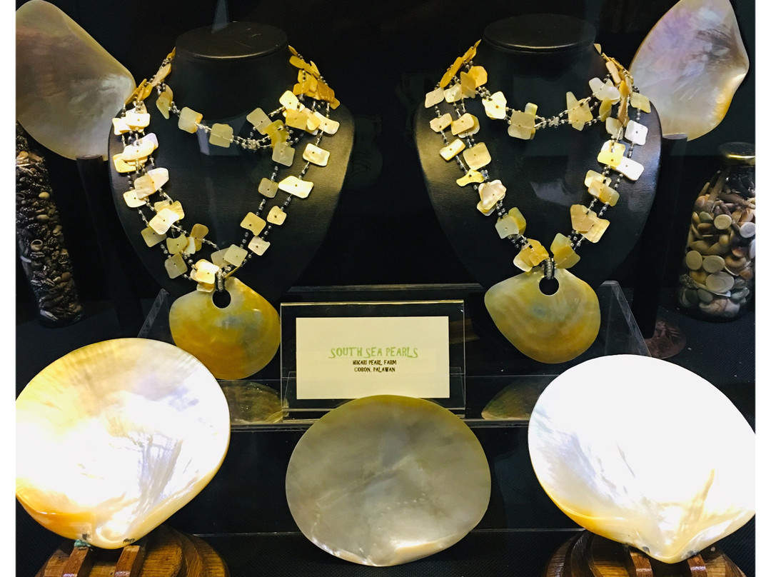 Palawan Heritage Center-公主港必去景点