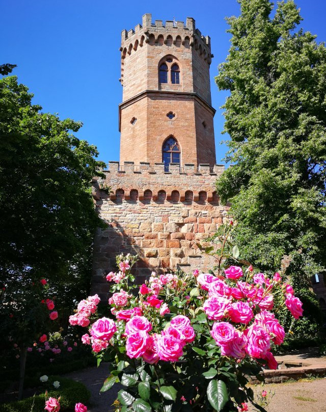 Schloss Ortenberg-Ortenberg必去景点