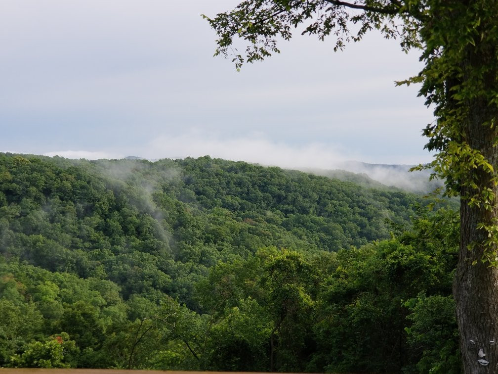 The Carriage Inn at Busch Mountain主图