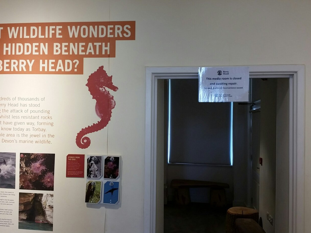 Berry Head Visitor Centre-布里克瑟姆必去景点