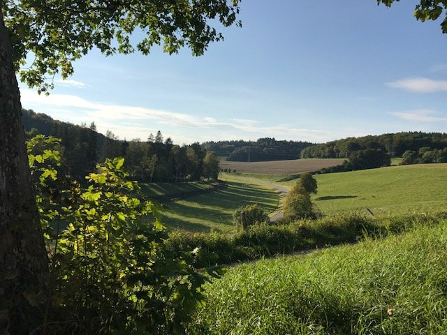 Landhotel Winter主图