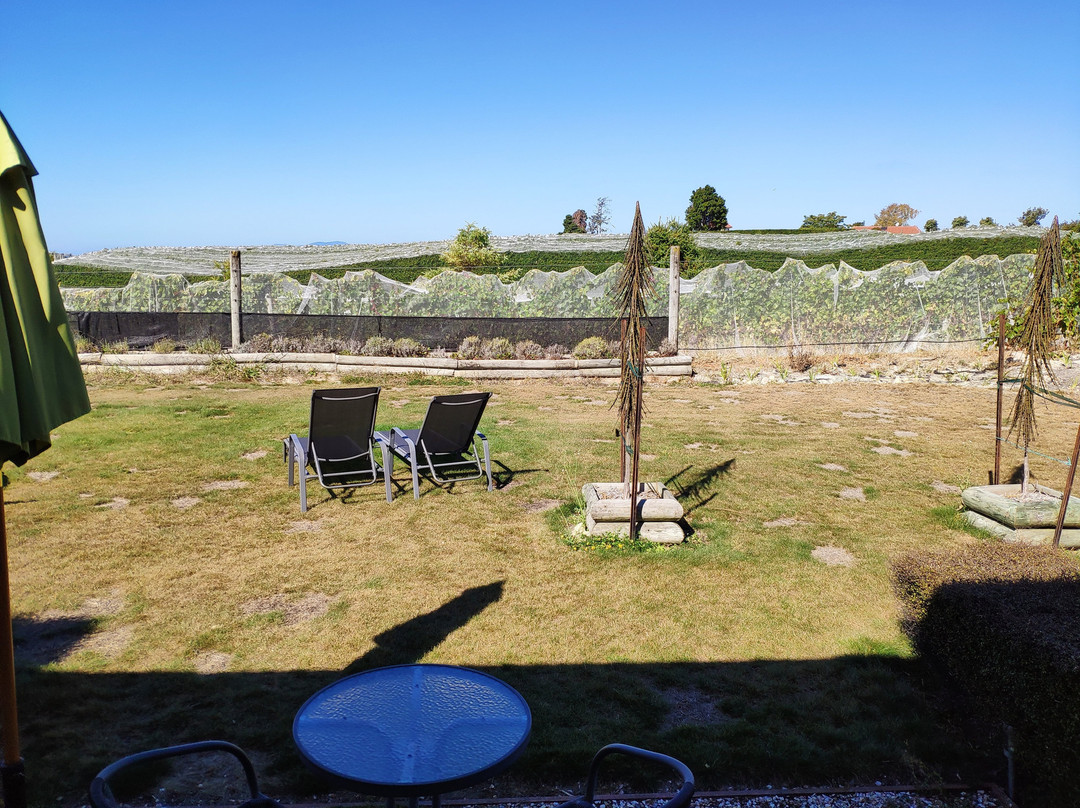 Pine Hill Lodge主图