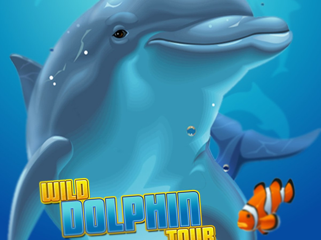 Wild Dolphin Tour-图伦必去景点