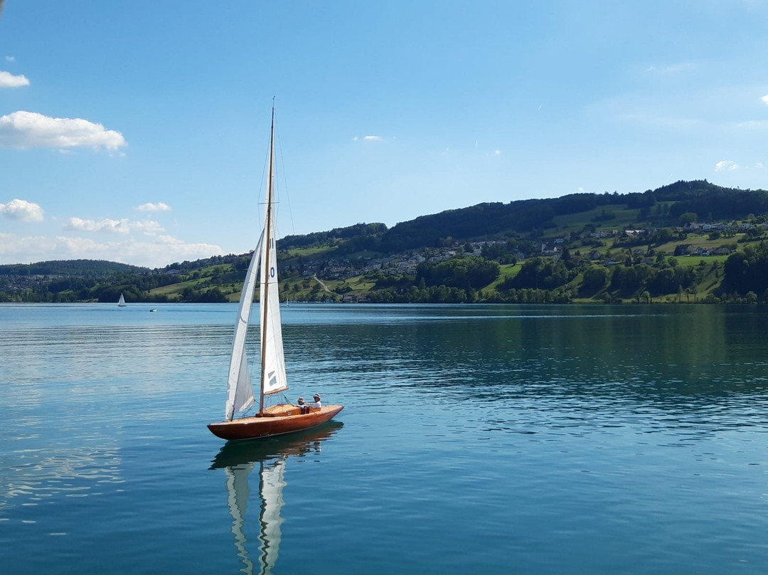Seeuferweg Hallwilersee-Seengen必去景点