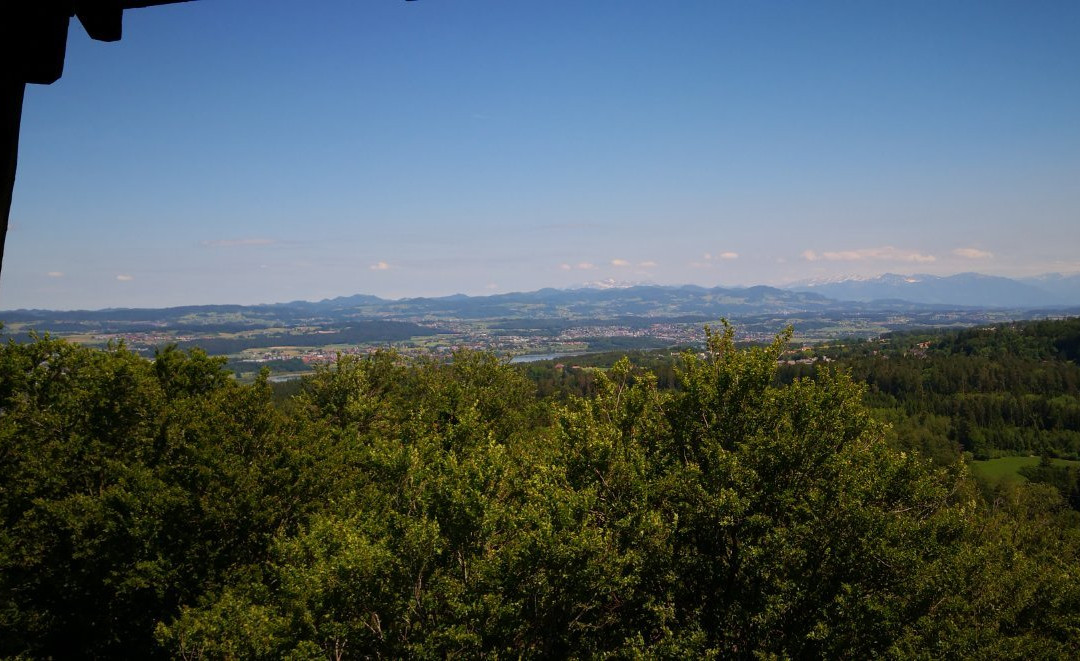 Loorenkopf Aussichtsturm景点图片