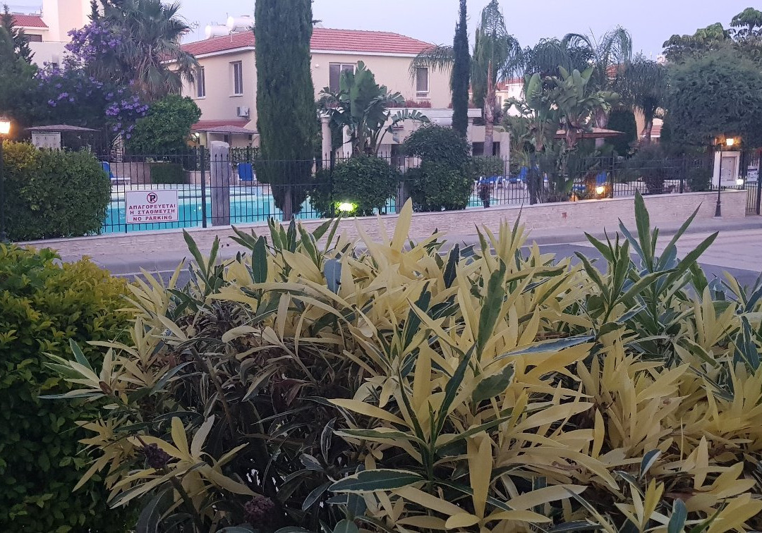 Eden Seniors Resort主图