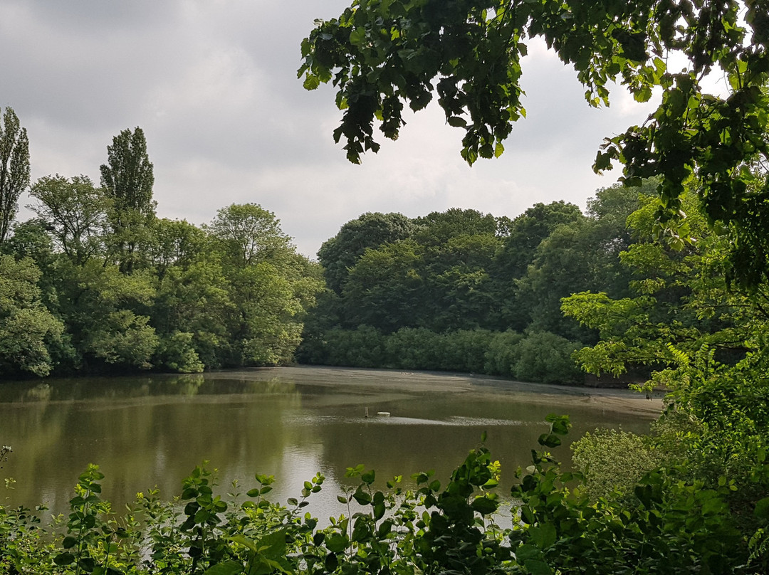 Ziegelweiher Park景点图片