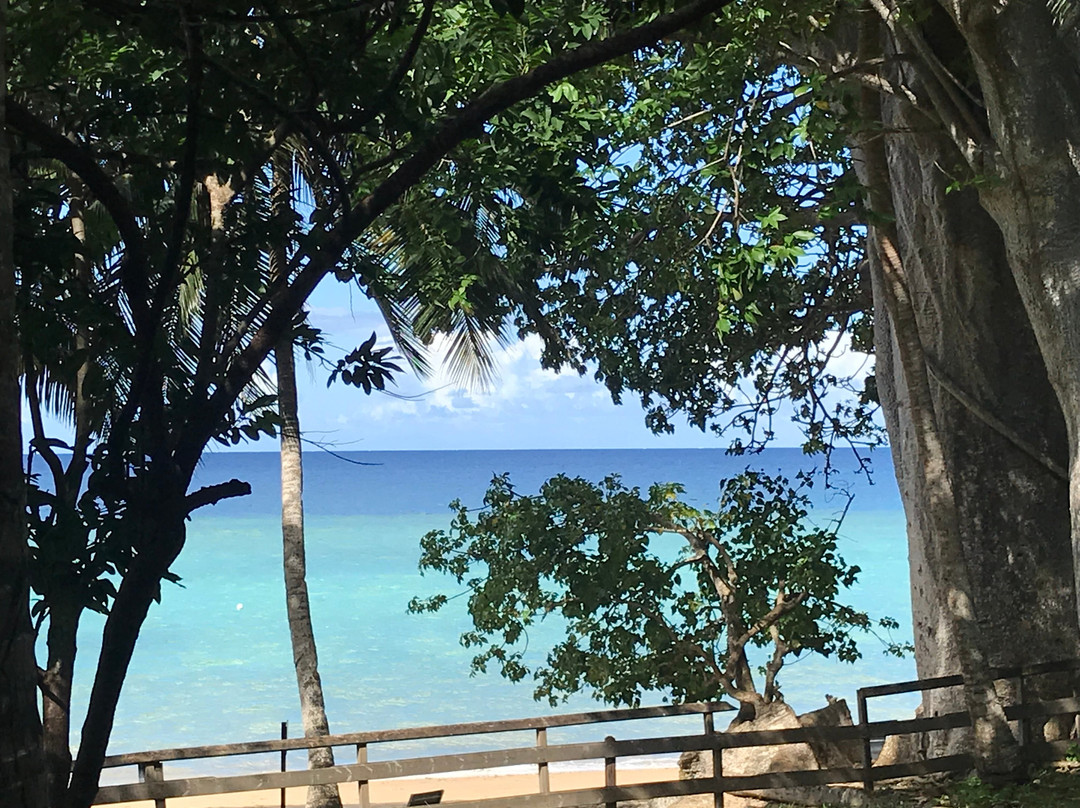 Plage de N'Gouja-Kanikeli必去景点