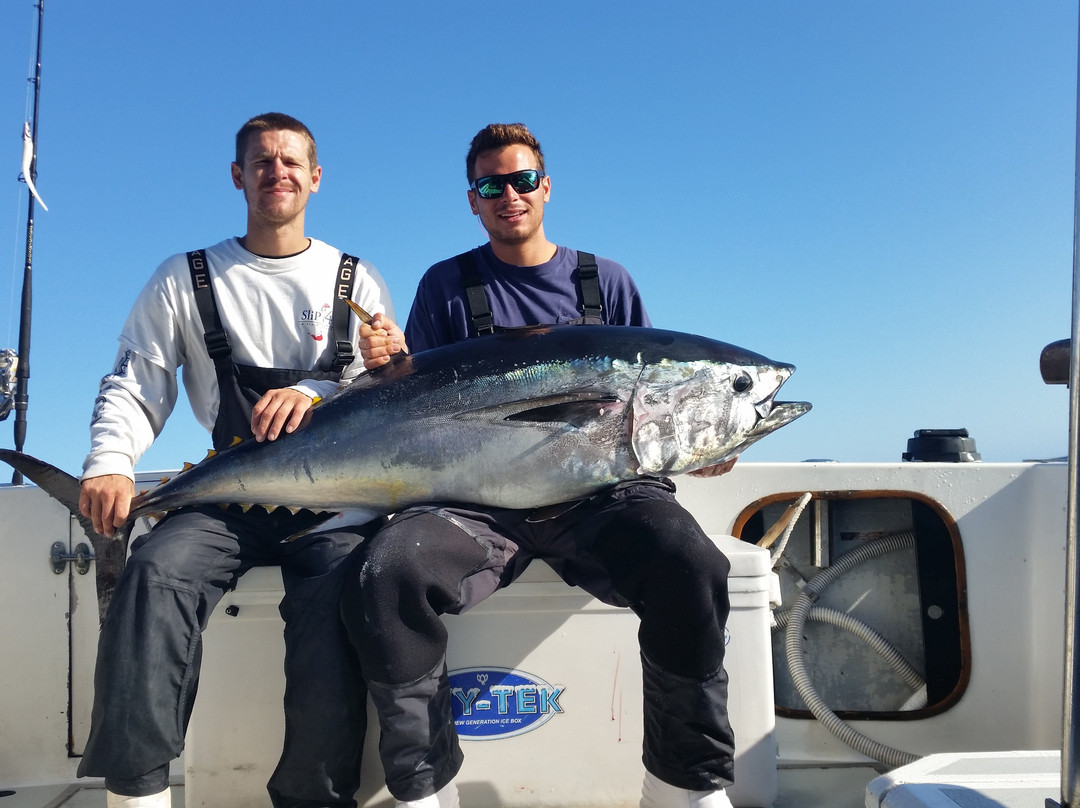 Sea Charters Sportfishing景点图片