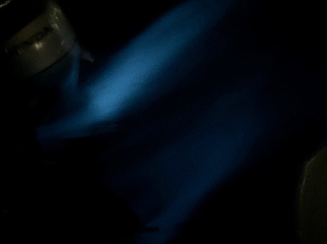 Bioluminescent Bay-大开曼岛必去景点