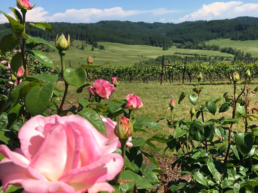 Sweet Cheeks Winery-尤金必去景点