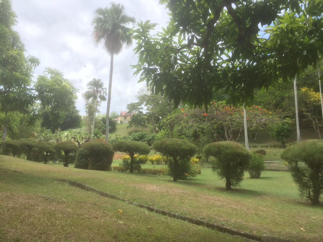 Scarborough Botanical Garden-斯卡伯勒必去景点