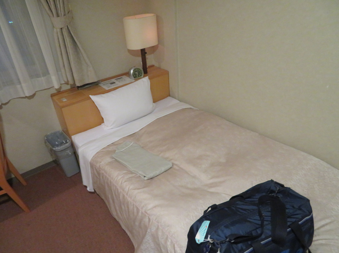 Aioi Station Hotel主图