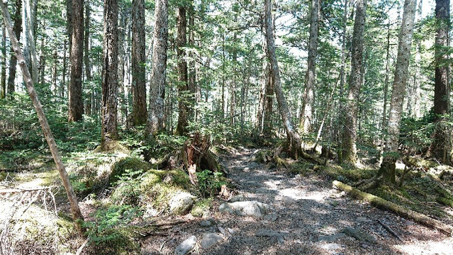 Takamiishi-小海町必去景点