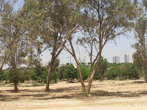 Mitzpe Beit Eshel-贝尔谢巴必去景点