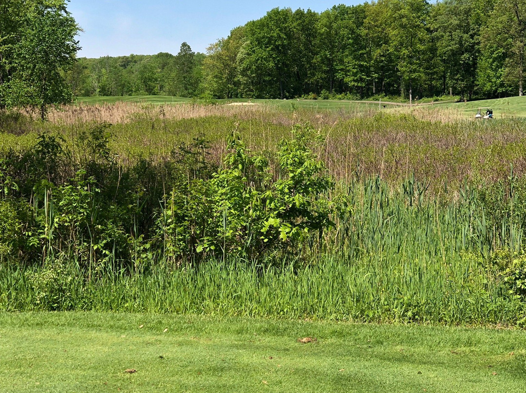 Lyon Oaks County Park-威克瑟姆必去景点