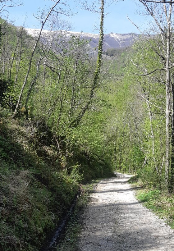 Cascata della Volpara e della Prata景点图片