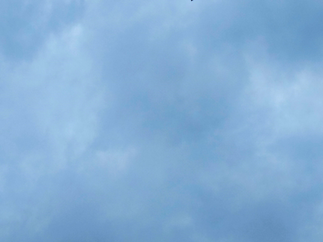 Paraglidingtandem.ch-卢塞恩必去景点