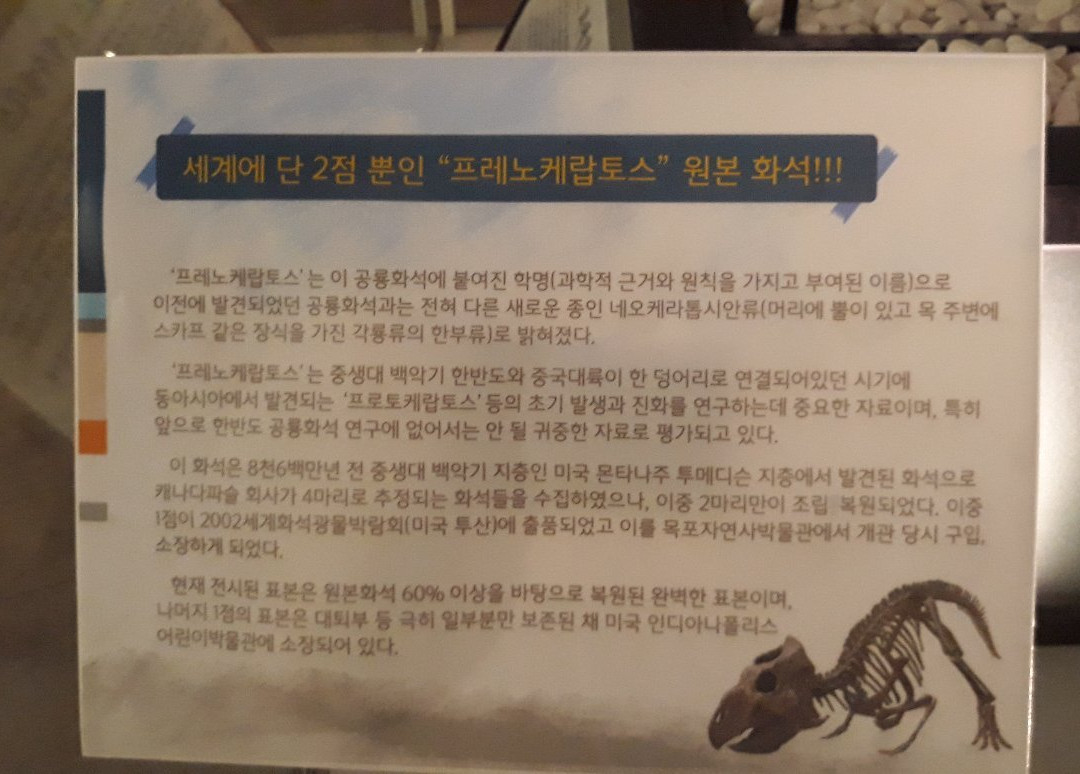 Mokpo Natural History Museum-木浦市必去景点