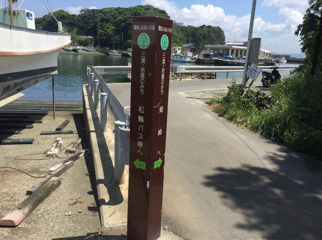 Makuchi Port-三浦市必去景点