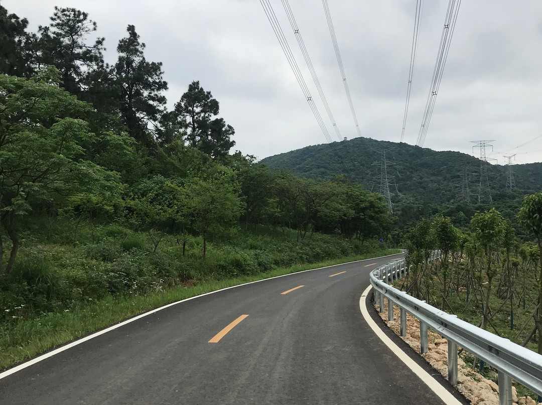 白玉兰酒店(南京航空航天大学胜太西路店)主图