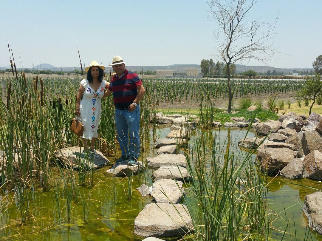 Vina del Cielo Hotel主图