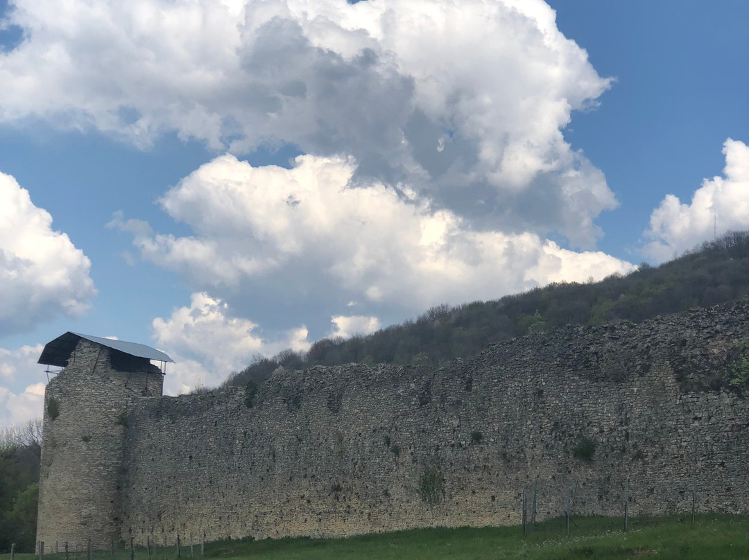 Chateau des Allymes-Amberieu-en-Bugey必去景点