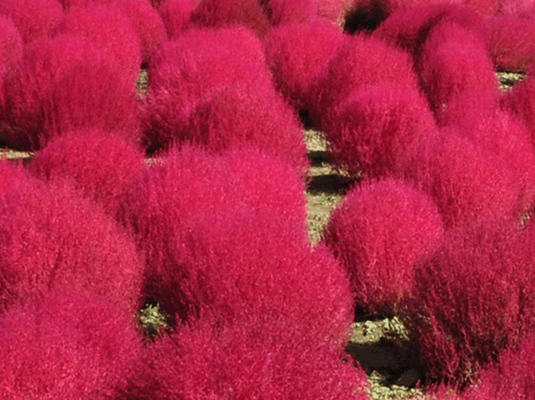 Al-Shaheed Monument-Baghdad必去景点