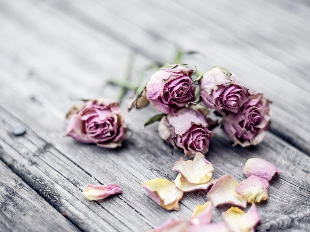 East of Eden Spa-棕榈海滩必去景点