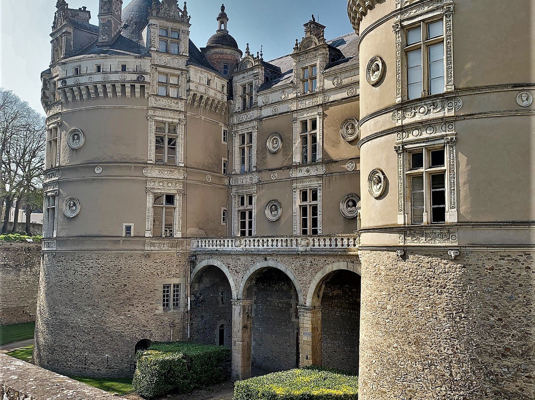 Chateau du Lude景点图片