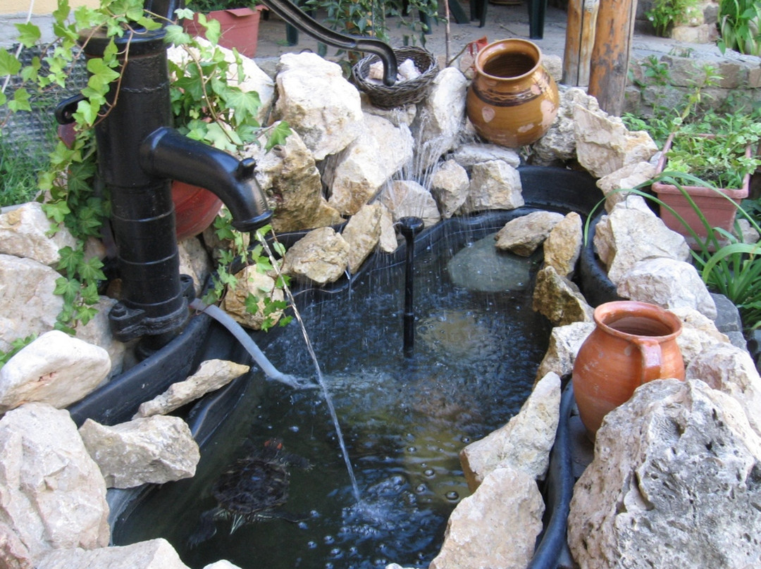 Pension Casa Mica主图