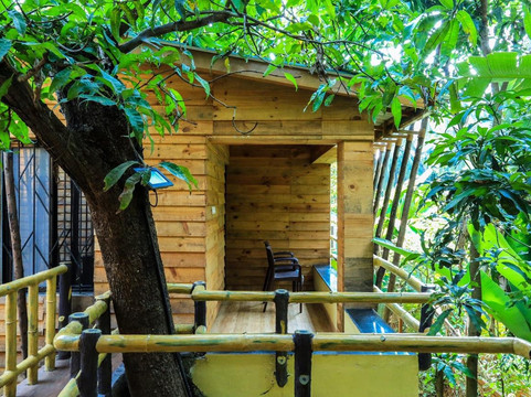 椰子海滩农场主图