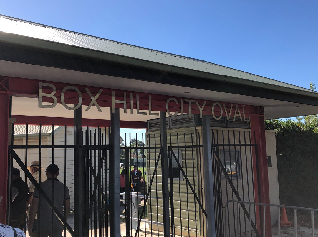 Box Hill City Oval景点图片