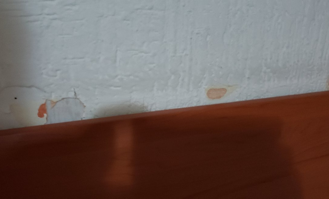 Hotel Don Miguel主图