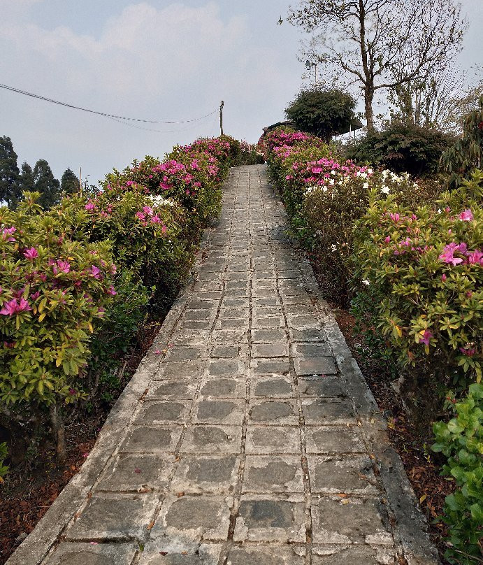 Delo Park-噶伦堡必去景点