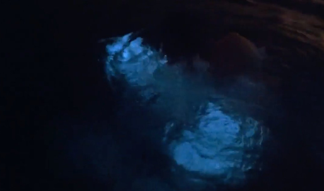 Borikua Tours-圣胡安必去景点