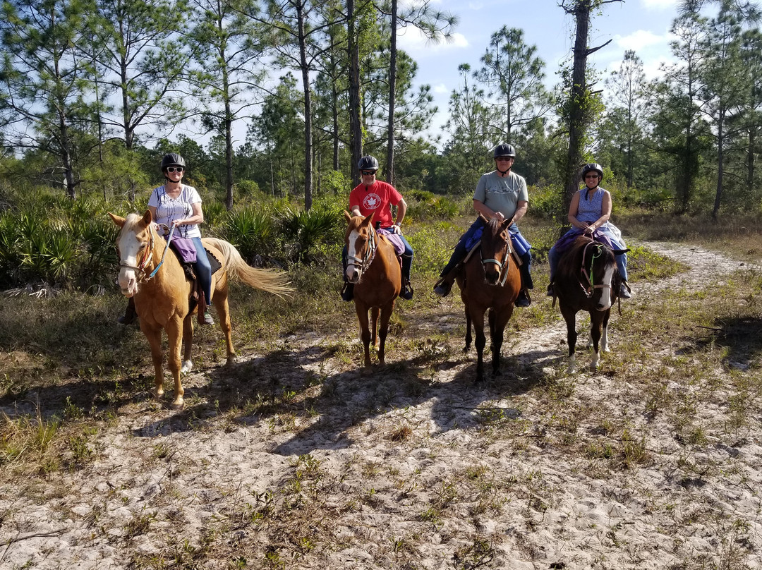 Five Star Stables-Lehigh Acres必去景点