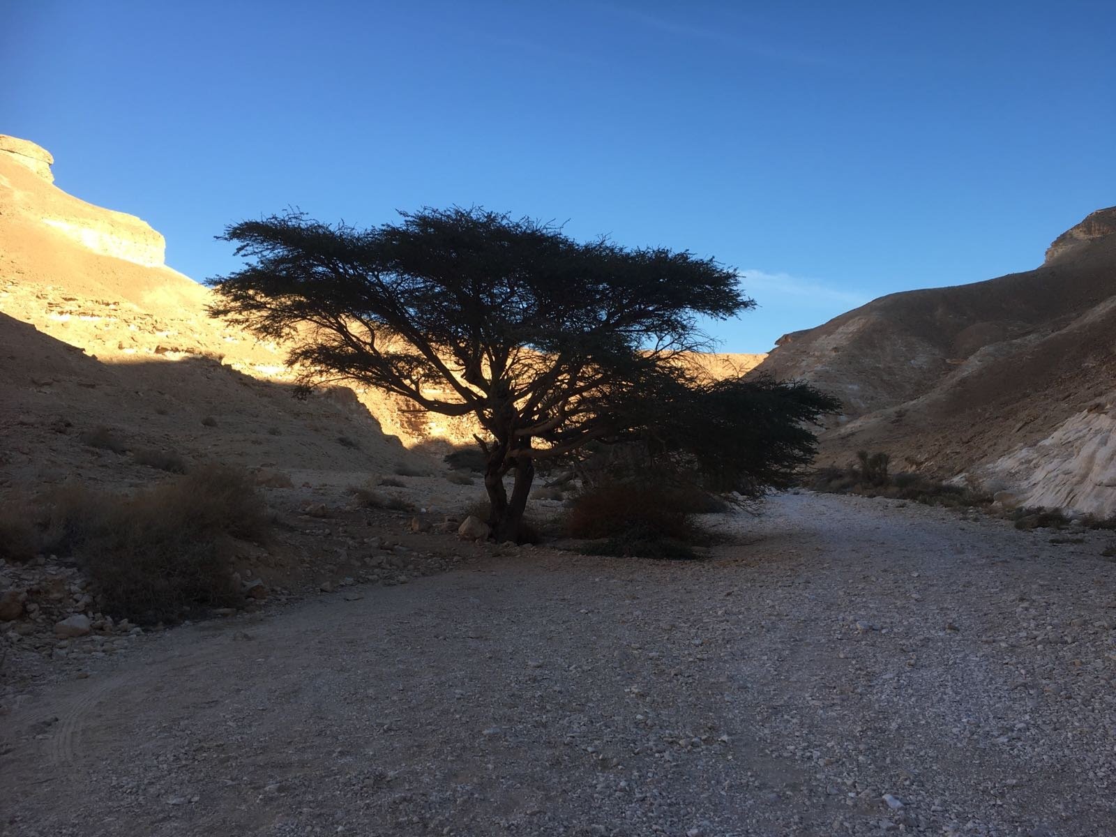 Arava Paradise-官方