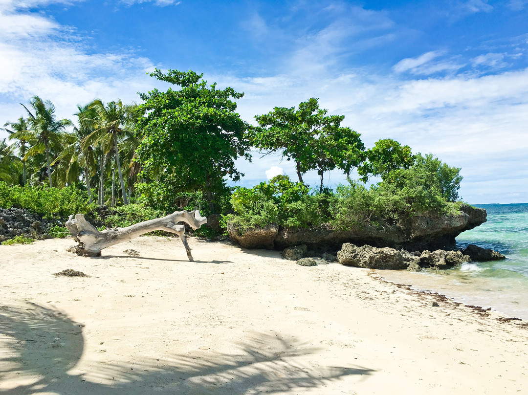 SYKE Travel & Tours-圣菲必去景点